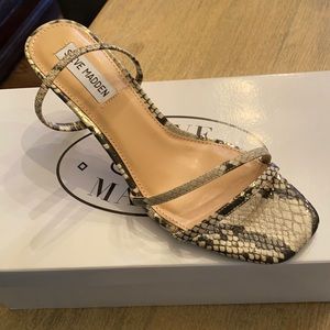 Gold snake Steve Madden slip on shoes